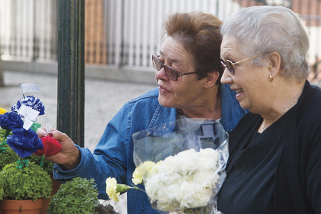 LISBON, ALFAMA, PORTUGAL - june 15, 2005 : Basil, an aromatic plant, is a symbol of Festas de Lisboa. The plant is accompanied by a small poem dedicated to the saint, to love and a paper flowerのeditorial素材