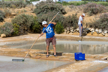 harvest of the flower of salt, salt in Portuguese, salt marsh of Olhao, Algarve, Portugal