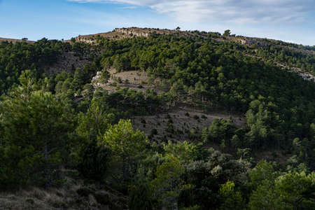 mountain with rocks and threesの写真素材