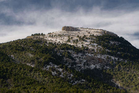 Snowy mountain with green threesの写真素材