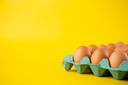 green egg java, with eggs and yellow background