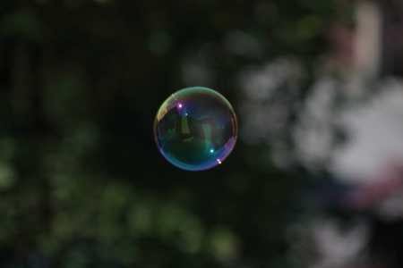 A soap bubble floating, some vegetation in the blurred backgroundの写真素材