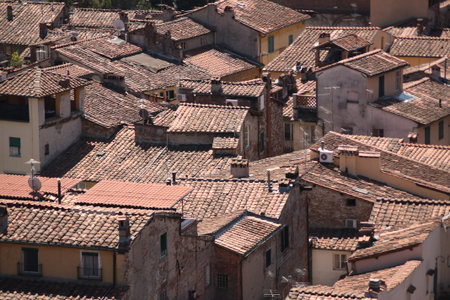 Aerial view of Guinigi Tower, Lucca city, Tuscany, Italy 