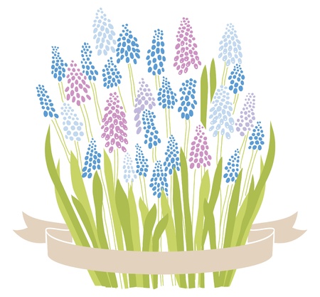Blue grape hyacinth muscari spring flower bouquetのイラスト素材