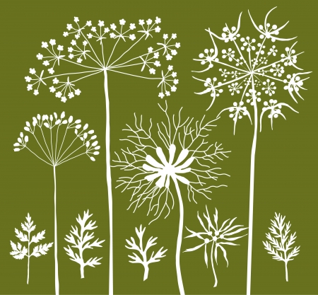 Wild grasses silhouettes Bのイラスト素材