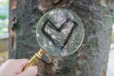 Find the true loveの写真素材
