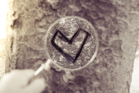 found the true loveの写真素材