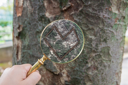 found the true loveの写真素材