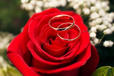 Wedding ringsの写真素材