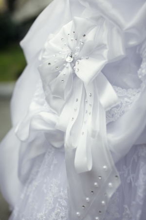 Wedding dressの写真素材