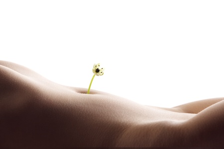 Giving life - flower in woman's belly buttonの写真素材