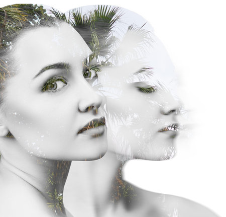 Young woman combined with photograph of branchesの写真素材