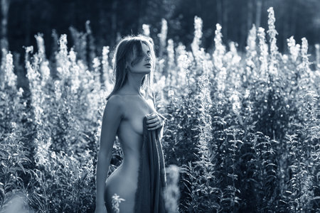 Nude woman standing on the autumn field.の写真素材