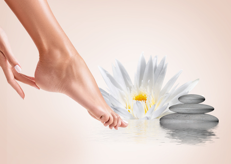 Perfect female legs in water with lotus flower. Spa concept.の写真素材