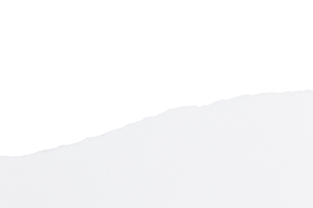 Torn paper on white background.の写真素材