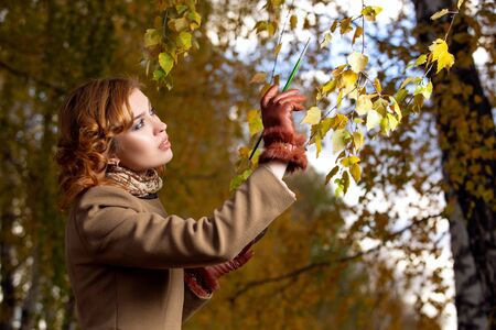 Beautiful woman with palette and brush paints colors leaves on the treesの写真素材