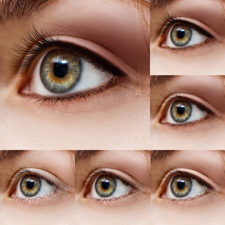 Collage of female eyes with makeup steps.の写真素材