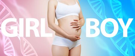 Young pregnant woman caress belly among DNA stems and big words Girl or Boy.の写真素材