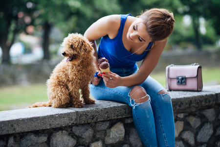 Portrait of beautiful smiling young woman with her little red poodle puppy.の写真素材
