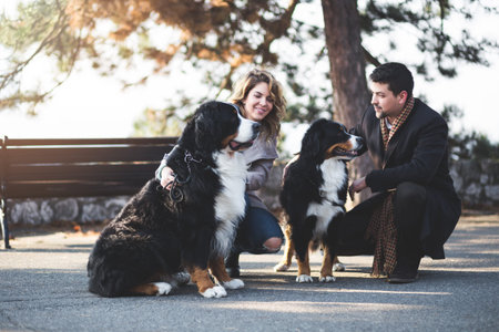 Young couple enjoying with their adorable Bernese Mountain dogs.