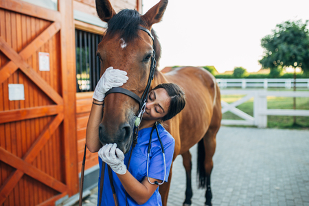 Vet kissing a horse outdoors at ranch.の写真素材