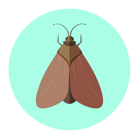 insects flat iconのイラスト素材