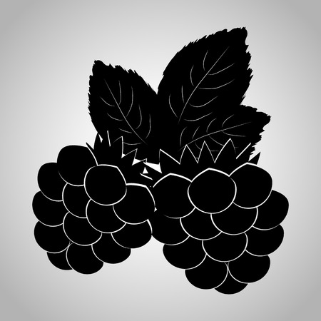 berry iconのイラスト素材
