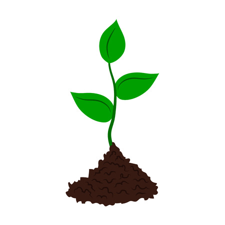 Seedling tree flat iconのイラスト素材