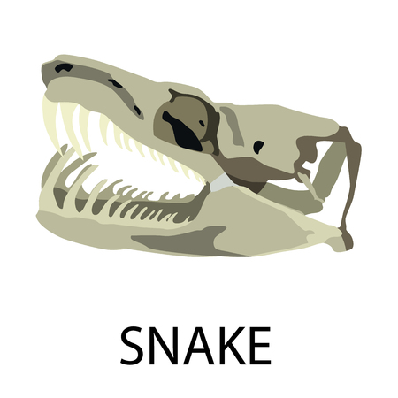 Skulls of animals flat icon setのイラスト素材