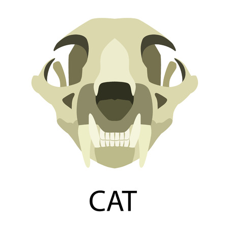 Skulls of animals flat icon setのイラスト素材