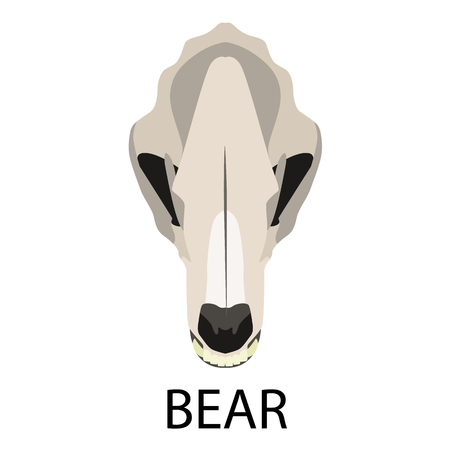Skulls of animals flat icon setのイラスト素材