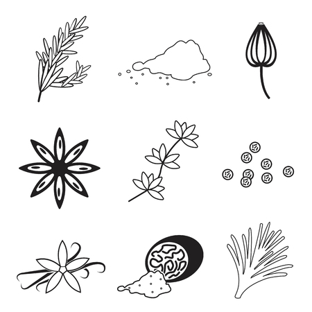 Spice icon set vector illustration.のイラスト素材