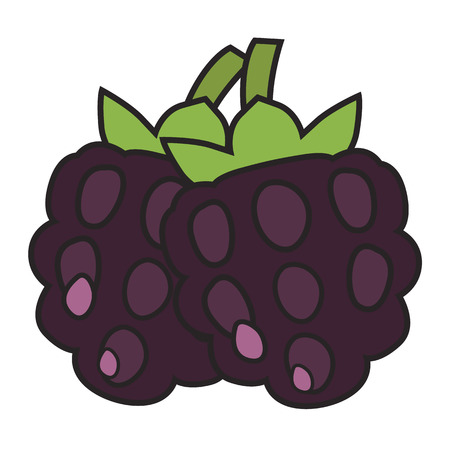 Berries in colored flat icon, cartoon illustration.のイラスト素材