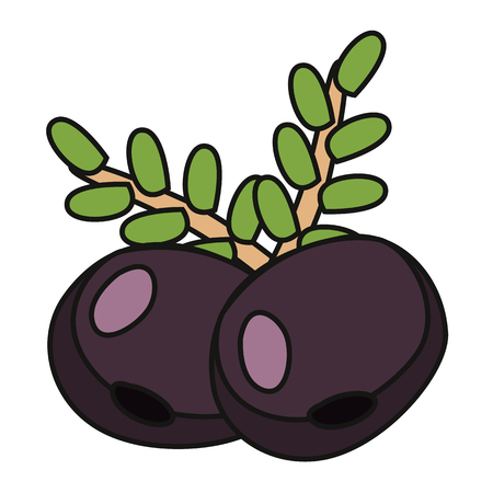 Berries in colored illustration, flat icon, cartoon illustration.のイラスト素材