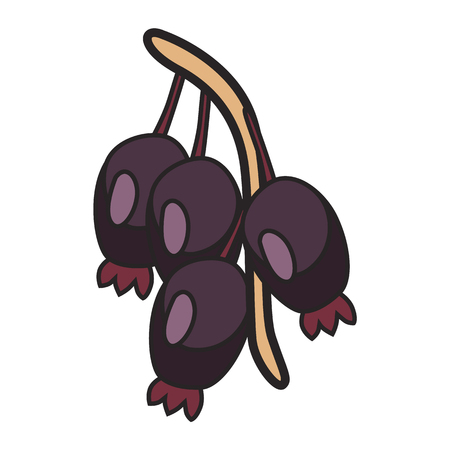 Berry flat iconのイラスト素材