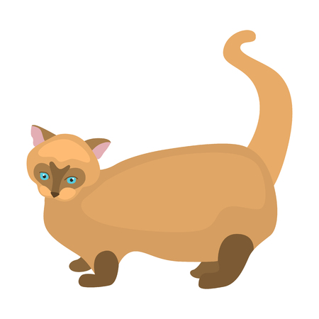 Cat flat color iconのイラスト素材