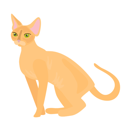 Cat flat color iconのイラスト素材