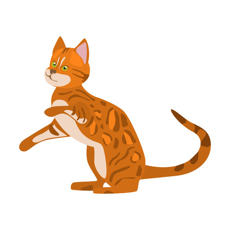 Cat flat color iconのイラスト素材