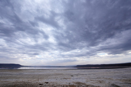 Landscape in the nature reserve with pink Lesser Flamingos on the lake on a beautiful overcast day...