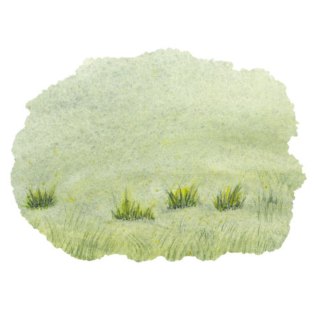 Green glade, field, edge. Watercolor illustration on a white background. Hand drawnの写真素材