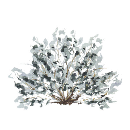Tree green shrub, brush, bush. Watercolor illustration on a white background. Hand drawnの写真素材