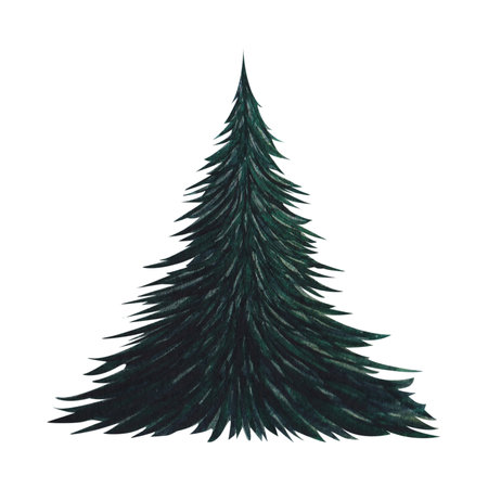 Fir tree, green spruce. Watercolor isolated illustration on a white background. Hand drawnの写真素材