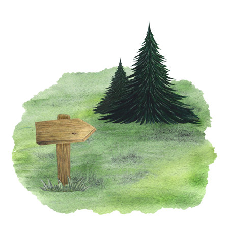 Wooden shields, arrows, pointers. Fir tree, spruce. Green glade, field, edge. Watercolor illustration on a white background. Hand drawnの写真素材