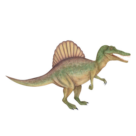 Spinosaurus. Dinosaur. Watercolor illustration isolated on a white background. Hand drawnの写真素材