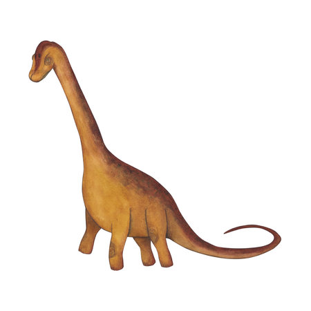 Brachiosaurus. Dinosaur. Watercolor illustration isolated on a white background. Hand drawnの写真素材