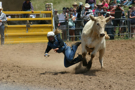 Bull Riding in Taralga Rodeo