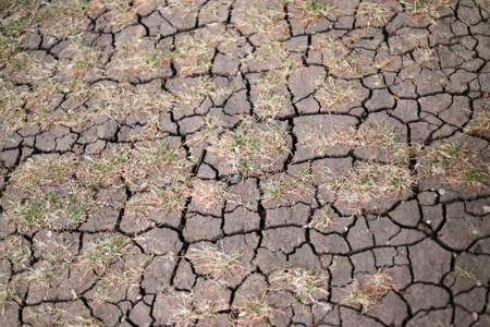 Dry soilの写真素材