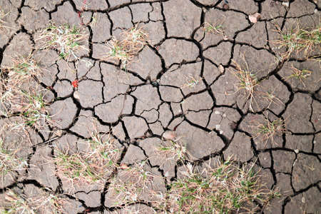 Dry soilの写真素材