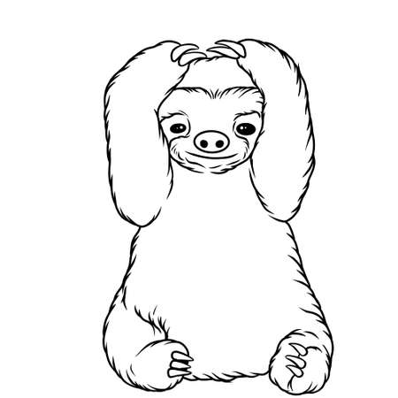 Sloth animal line art illustrationの写真素材