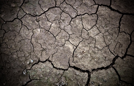 cracked soilの写真素材